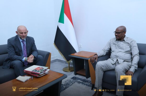 Sadig Al-Sadig Ismail Meets with the Qatari President of the ICRC - The CITIZEN